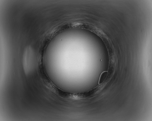 X0000085790565200703301454