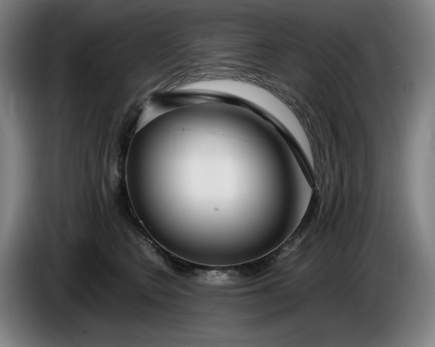 X0000085790566200703301454