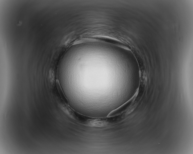 X0000085790568200703301454