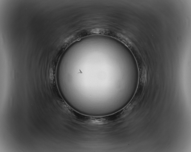 X0000085790569200703301454