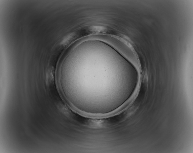 X0000085790570200703301454