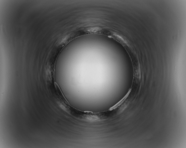 X0000085790572200703301454
