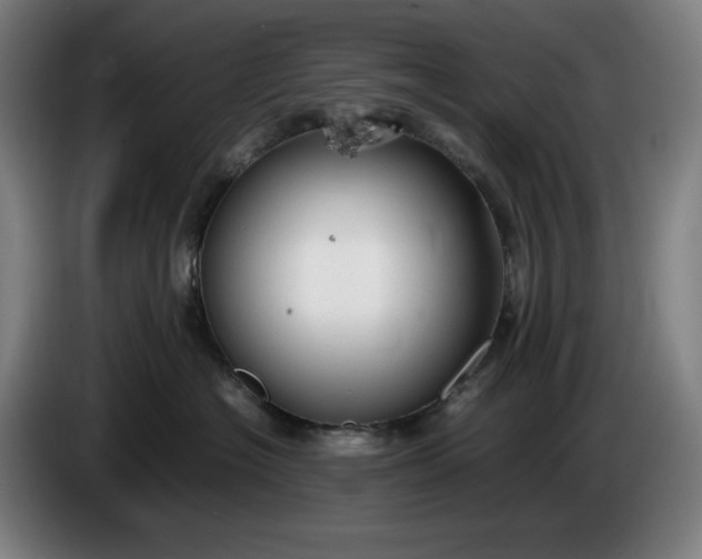X0000085790574200703301454
