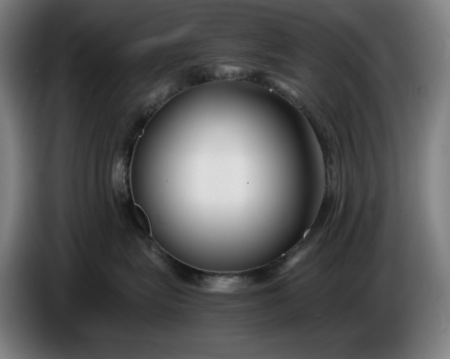 X0000085790575200703301454
