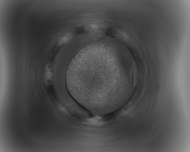X0000085790576200703301454