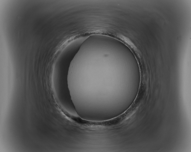 X0000085790577200703301453