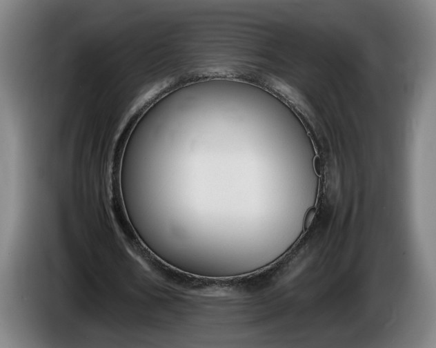 X0000085790578200703301453