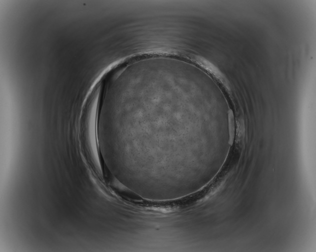 X0000085790580200703301453