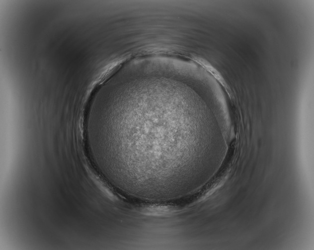 X0000085790581200703301453