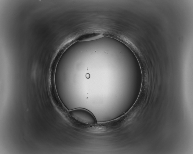 X0000085790582200703301453