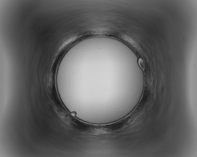 X0000085790583200703301453