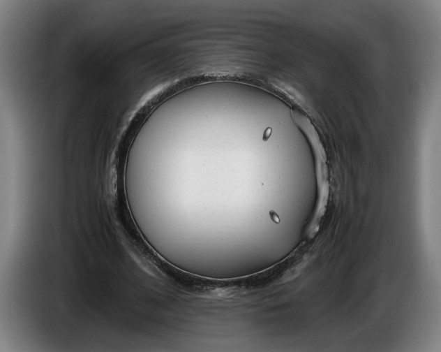 X0000085790584200703301453