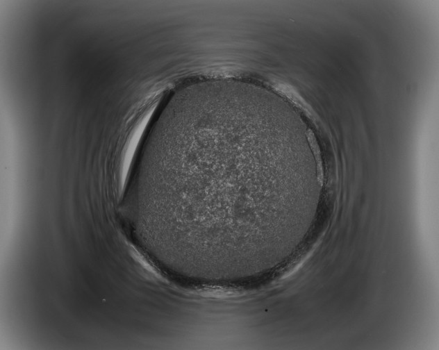X0000085790585200703301453