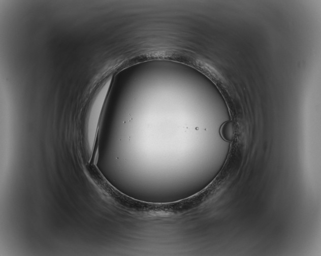 X0000085790586200703301453