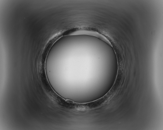 X0000085790587200703301453