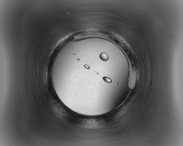 X0000085790588200703301453