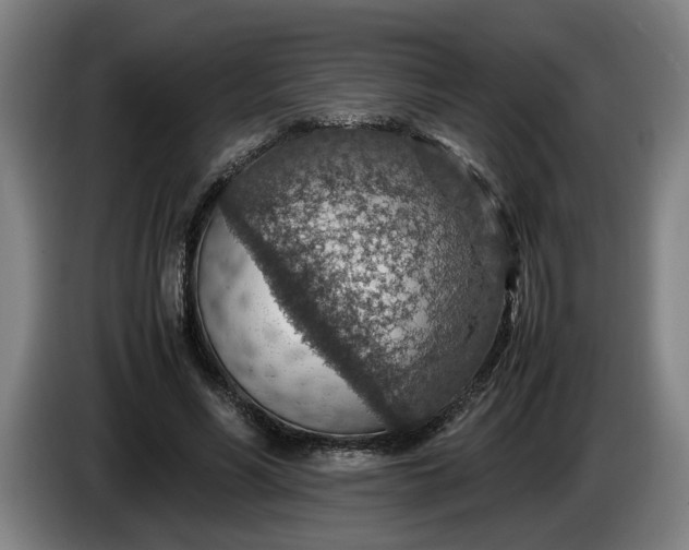 X0000085790590200703301453