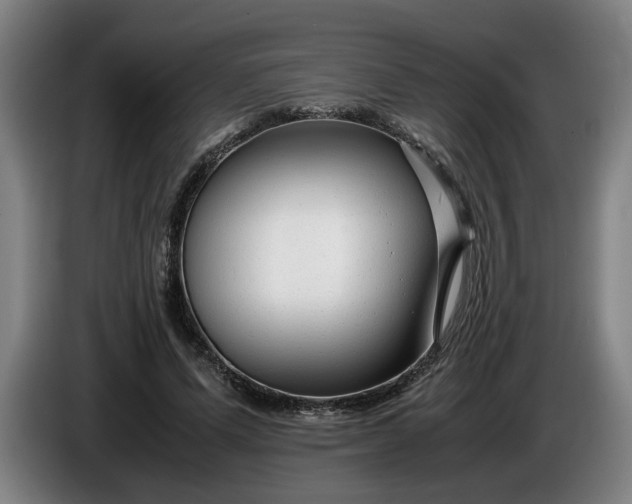 X0000085790591200703301453