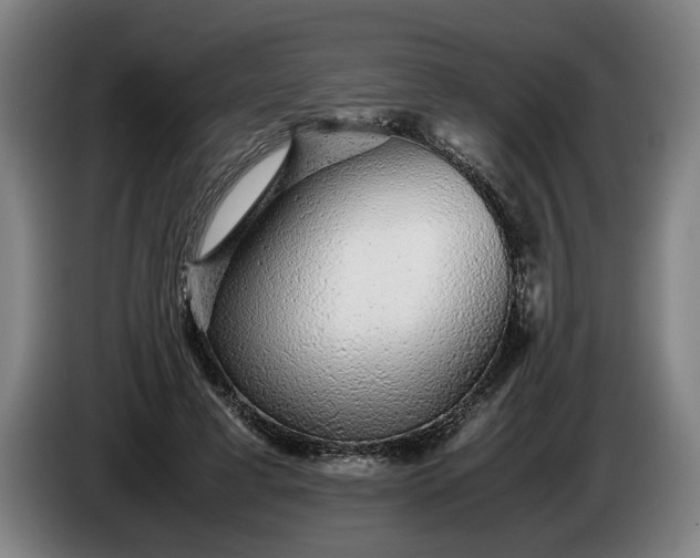 X0000085790593200703301453