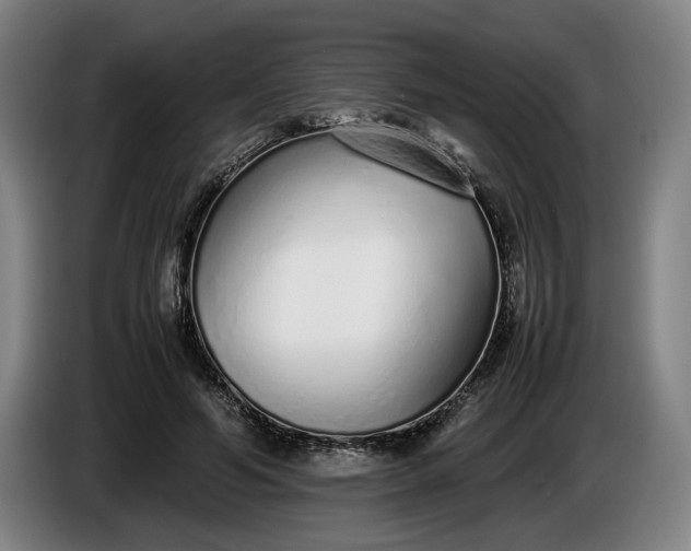 X0000085790594200703301453