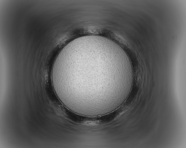 X0000085790595200703301453