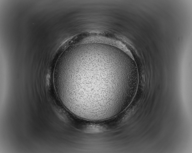 X0000085790596200703301453