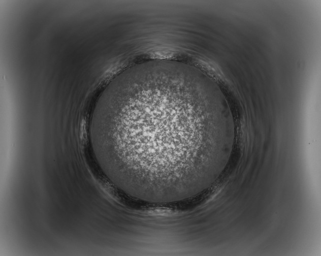 X0000085790598200703301453
