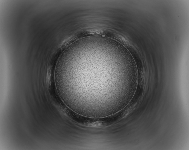X0000085790600200703301453