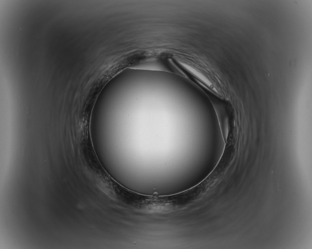 X0000085790601200703301453