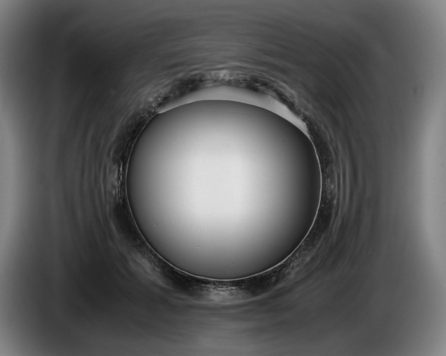 X0000085790605200703301453
