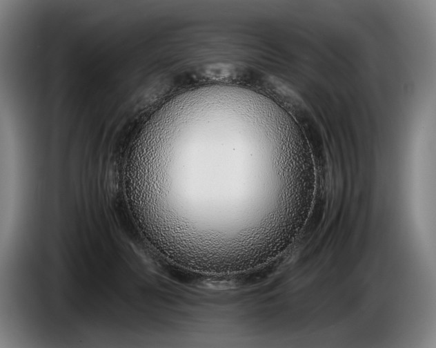 X0000085790606200703301453