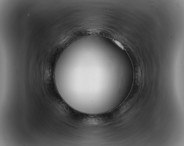 X0000085790608200703301453