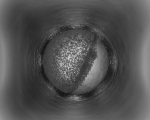 X0000085790610200703301453