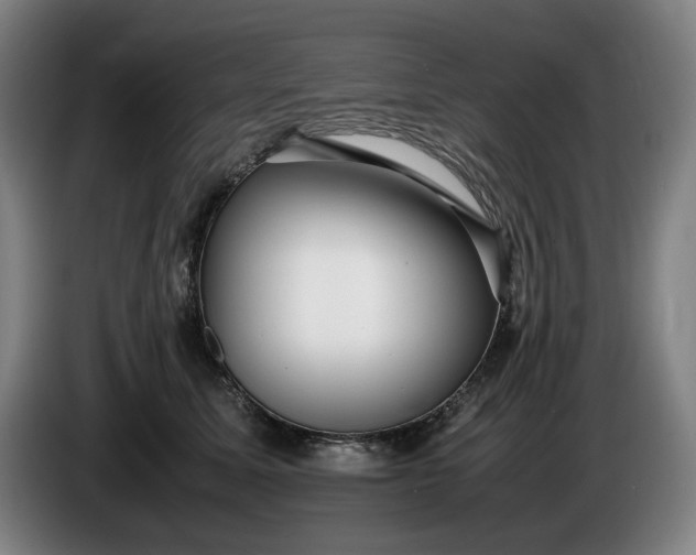 X0000085790611200703301453