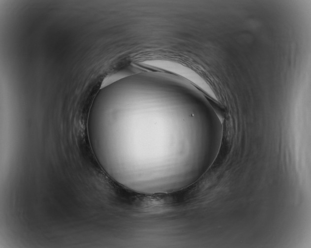 X0000085790613200703301453