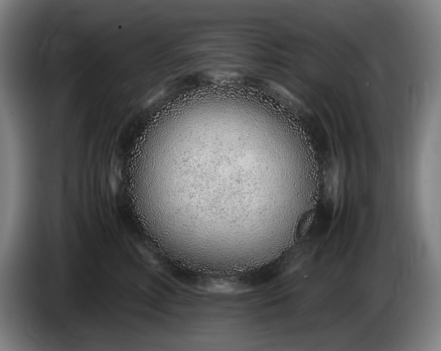 X0000085790618200703301453