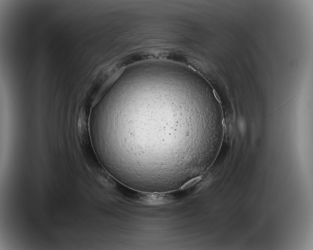 X0000085790623200703301453