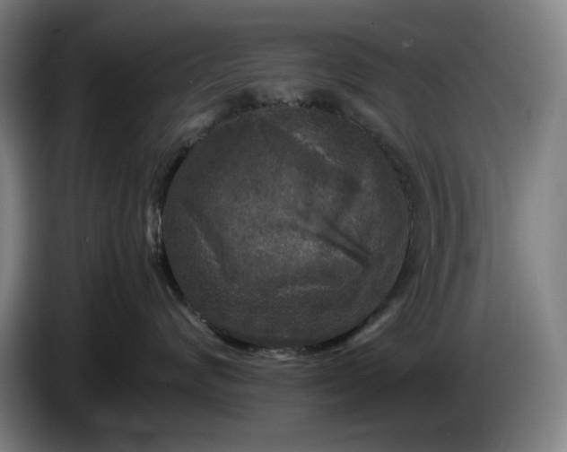X0000085790624200703301453