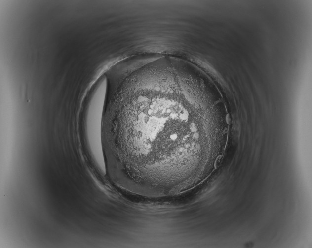 X0000085790626200703301452