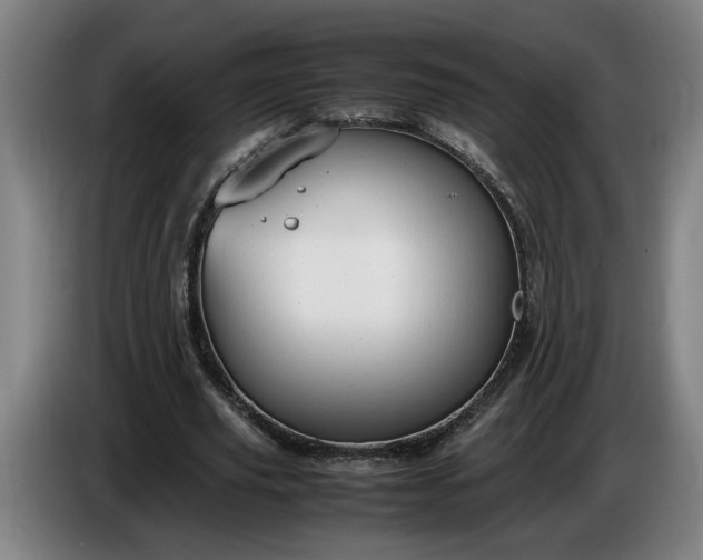 X0000085790629200703301452