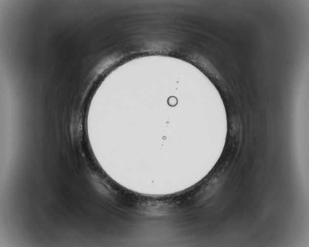 X0000085790632200703301452
