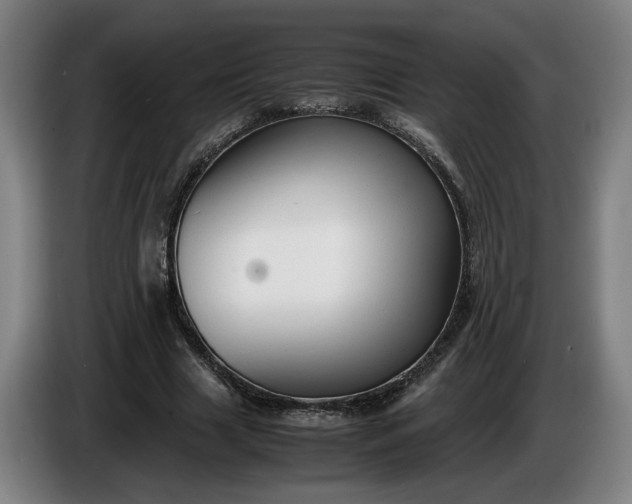 X0000085790633200703301452