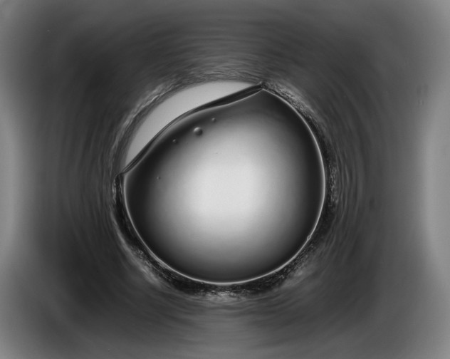 X0000085790634200703301452