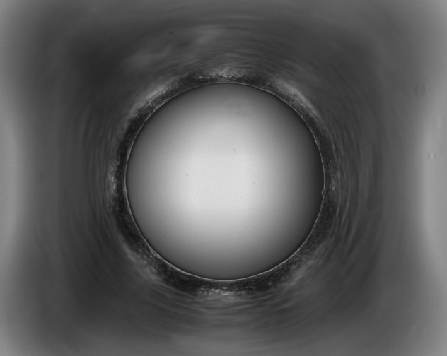 X0000085790635200703301452