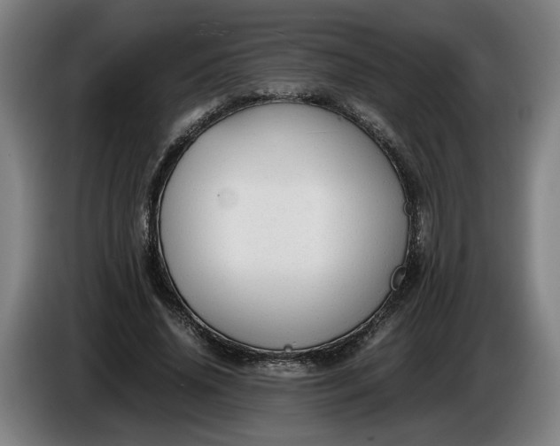 X0000085790636200703301452