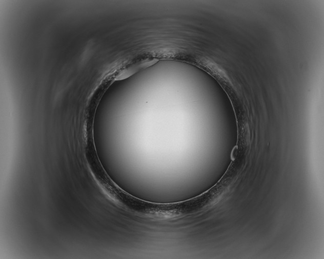 X0000085790638200703301452