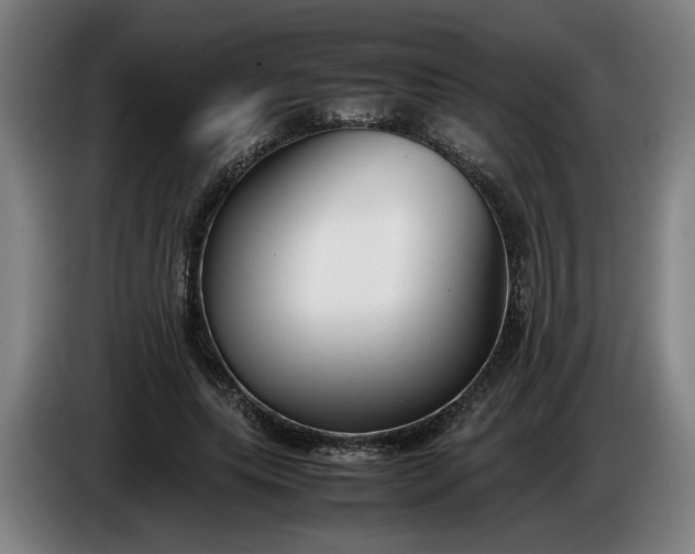 X0000085790639200703301452
