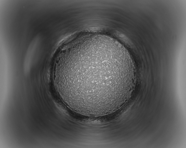 X0000085790640200703301452