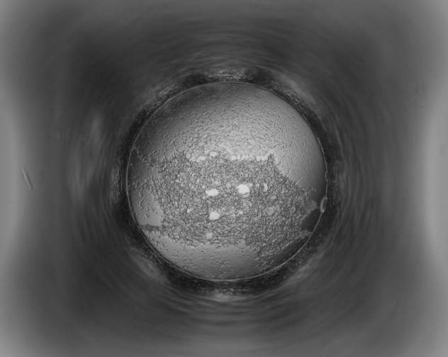 X0000085790641200703301452