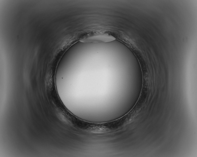 X0000085790642200703301452